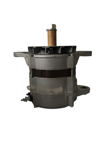 1005047 excavador Components Alternator